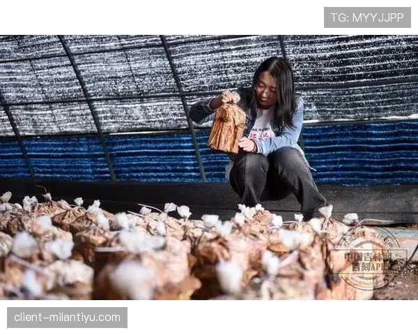 张楠家的狗吃的都比我一个月工资多 张楠家的狗吃的都比我一个月工资多